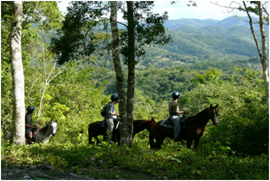 Experience The Belize Ecology with Belize Eco-Tours