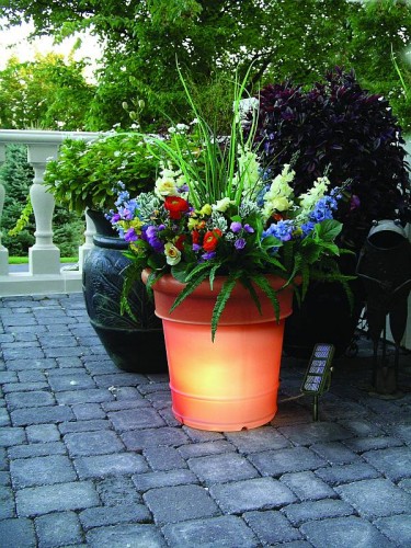 GardenGlo – Solar Powered Glowing Planter