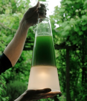 Latro Algae-Powered Lamp Concept