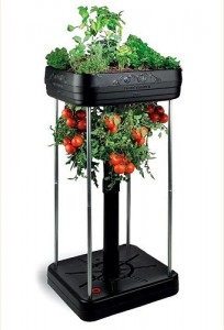 The Upside Down Tomato Garden