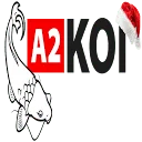 A2koi