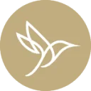 Allied Schools