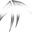 Androosart