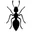 ANT Shack