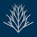 Araucaria Jet