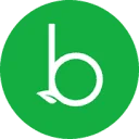 Banana Blossom