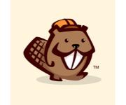 Beaver builder