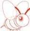 Bellis