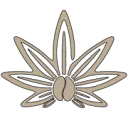 Best Seed Shop