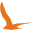 Birdforumshop