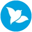 Bluebird