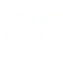 Bonus Pilot
