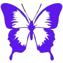 Boutique Papillon