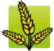 Brinvale