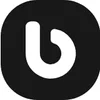 Britannia Taxis