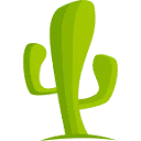 Cactusvpn