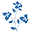 Cartolina