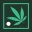 CBD