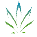 CBD BioCare