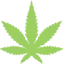 Cbdstreet