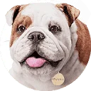 Churchill