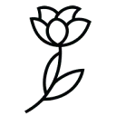 Clare Florist