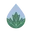 Clean Maple