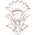 Cleobella