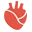 Codexanatomy