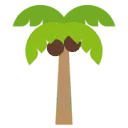 Coir Mats