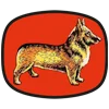 Corgi Model Club
