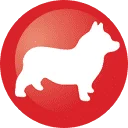 Corgi UK
