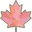 Custom Frames Canada
