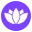 Dashama