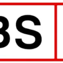DBS Dancing Shoes