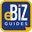 Ebizguides