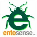 Edible Insects