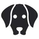 Elbhunde Dresden
