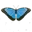 Evolve Botanica