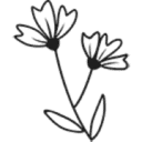FluentPet