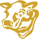 Golden Steer