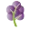 Grape Tree