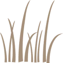 Hecht Garten