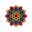 Hisucculents
