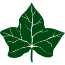 Ivysport