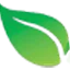 Junglebusters