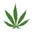 Jupiter Grass