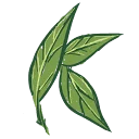 Kats Botanicals