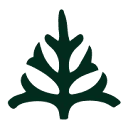 Katu