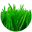 Lio Verde